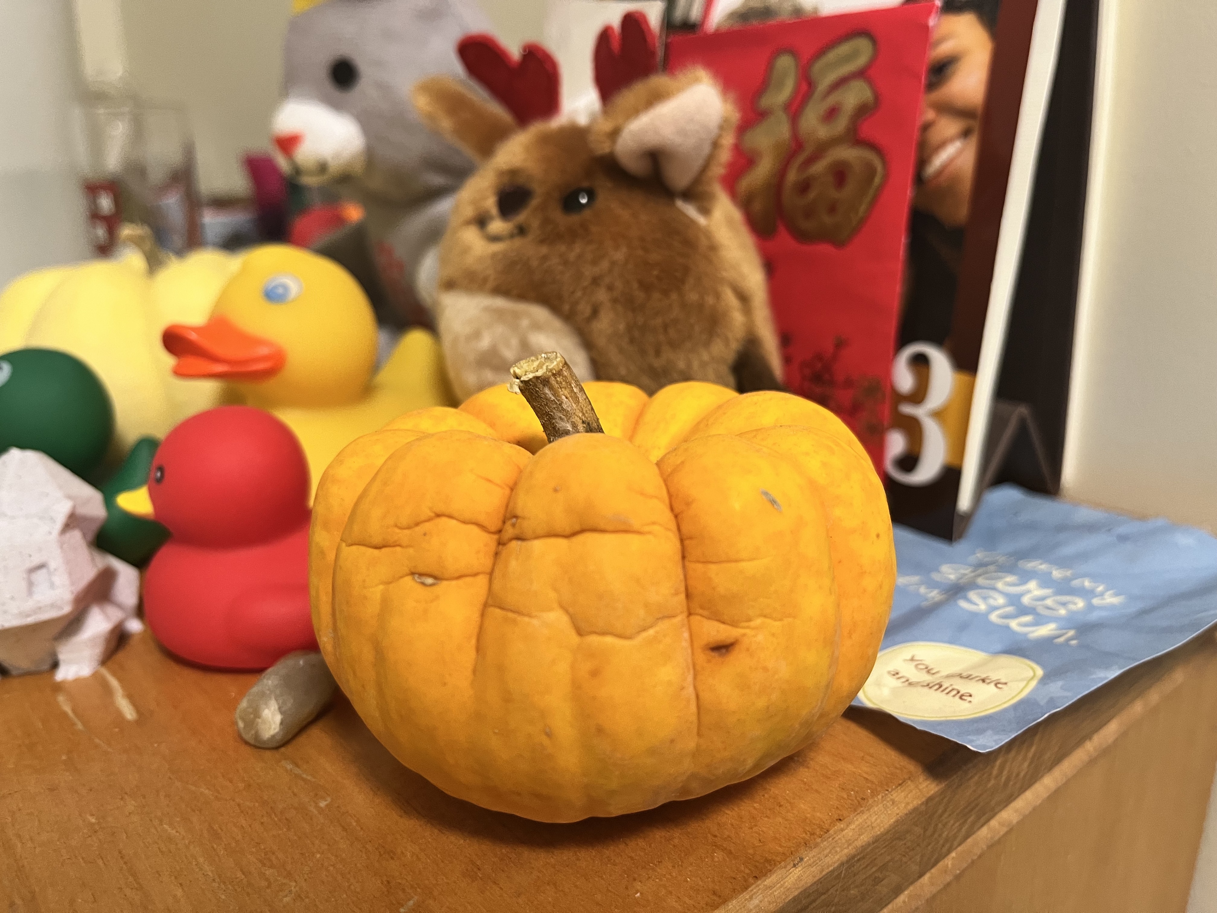 Pumpking IRL