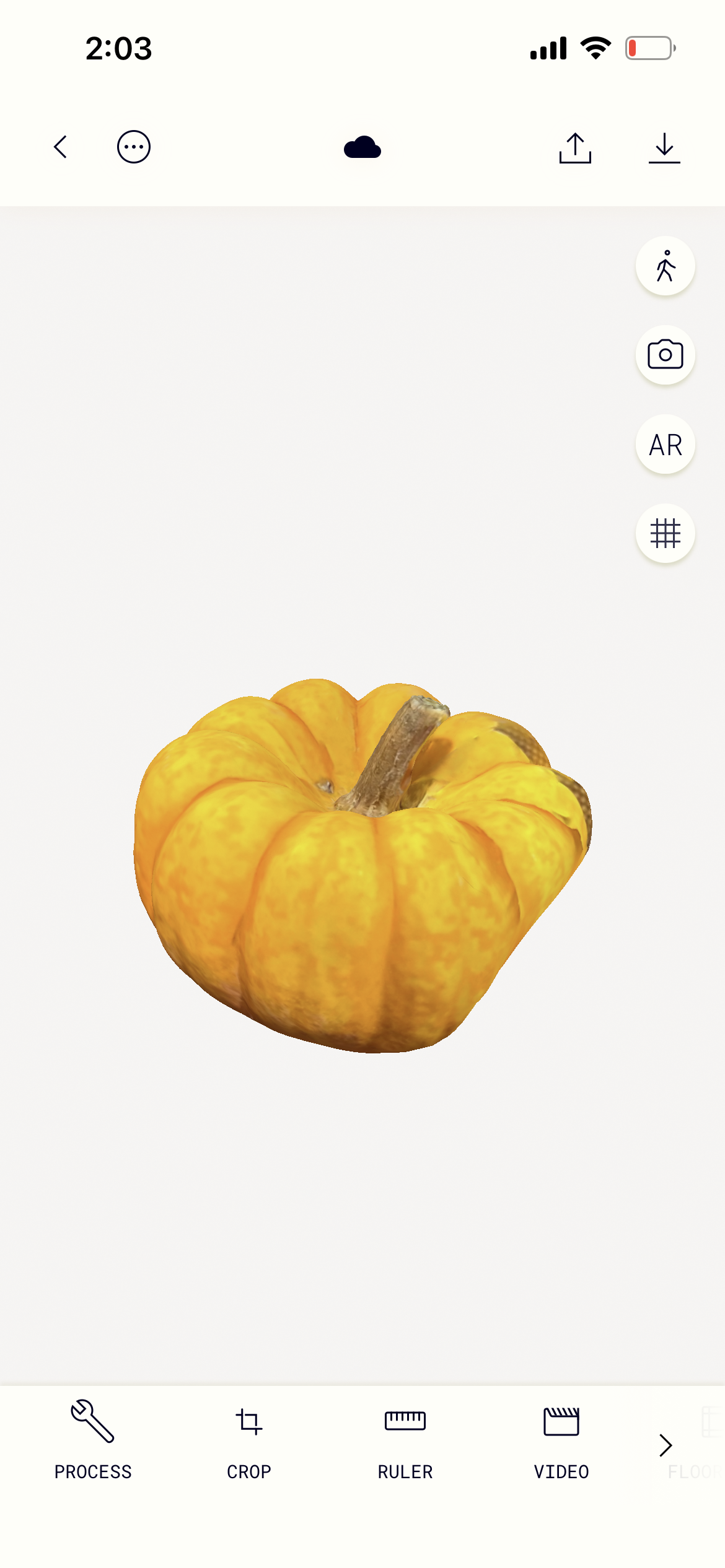 Pumpkin in PolyCam