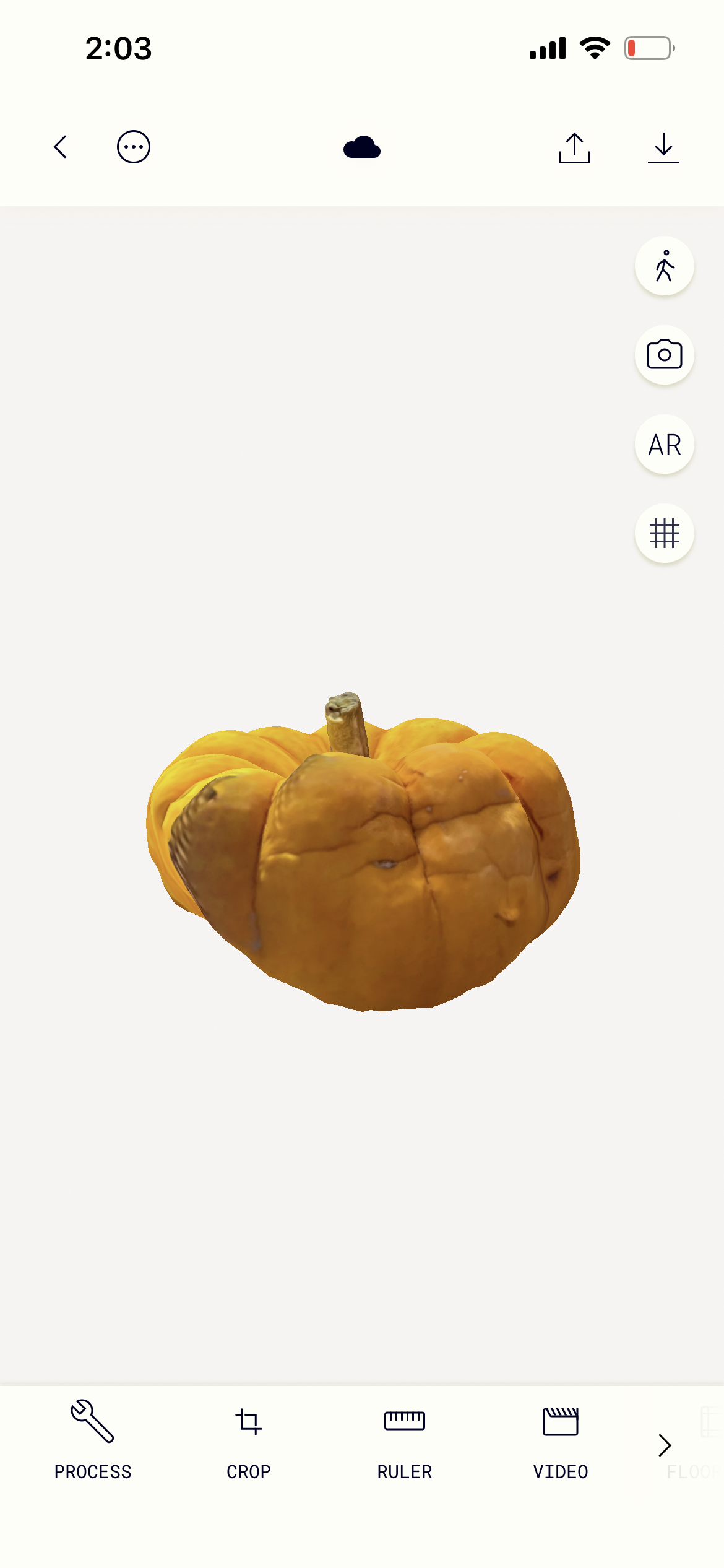 Pumpkin in PolyCam